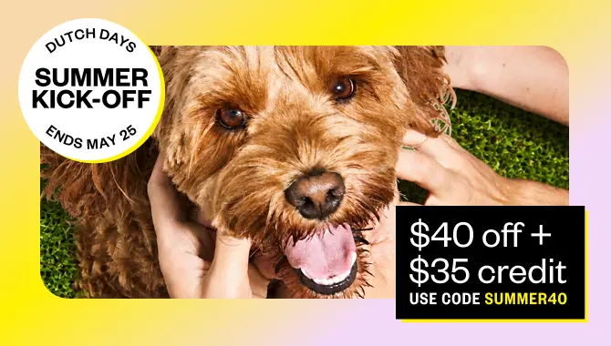 Expert Pet Care, Anytime Anywhere